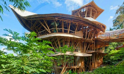 Green Village: Tempat Menginap yang Menyatu dengan Alam Cilacap